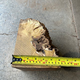 Honey Locust Burl 7.5”x5.5”x5.5”