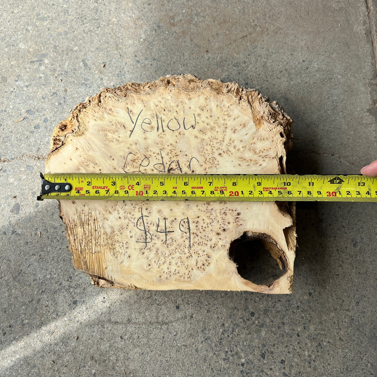 Yellow Cedar Burl 10”x9”x2.5”