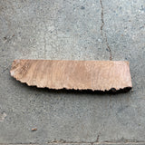 Madrone Burl 15”x4”x0.875”