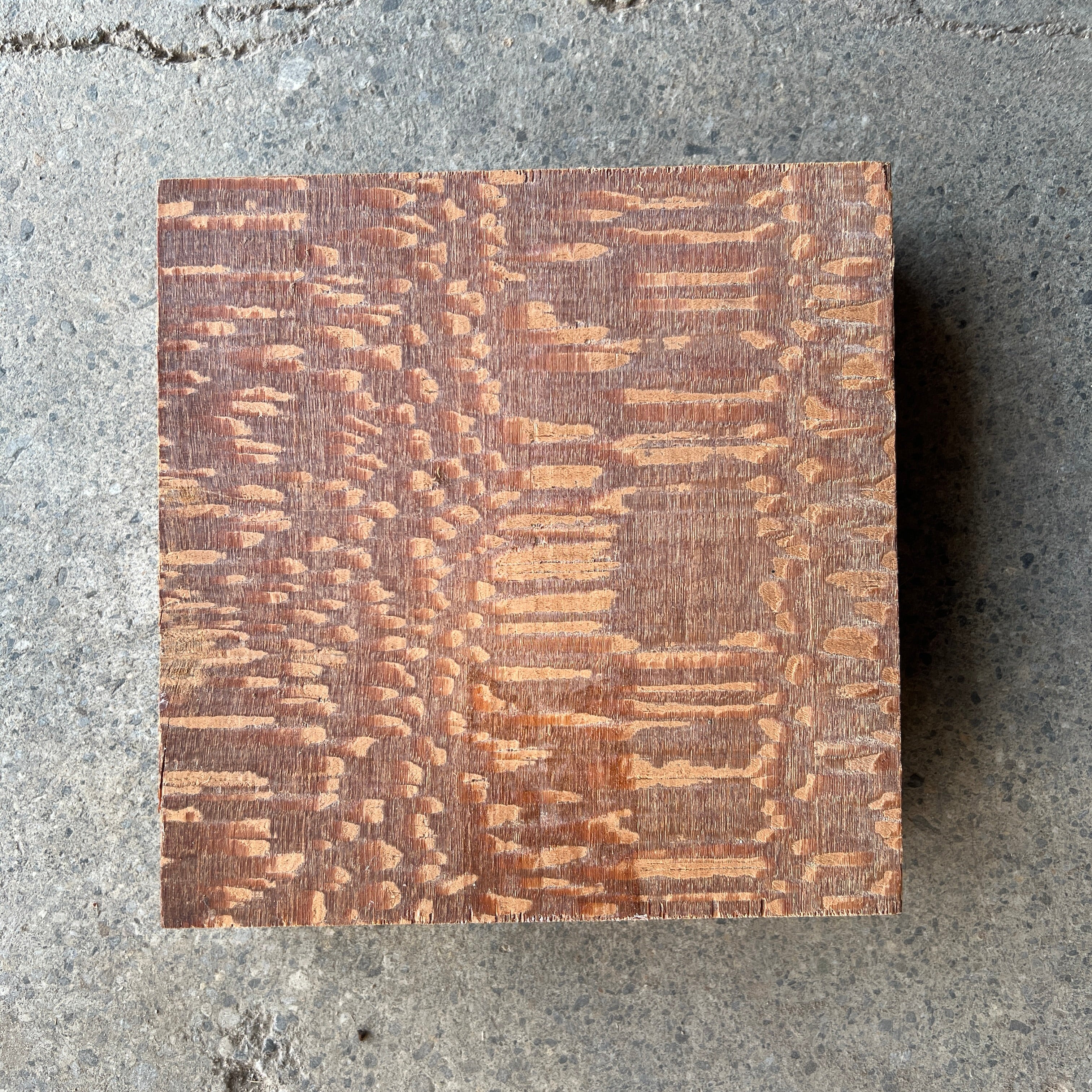 Leopard Wood 8”x8”x2” – Black Forest Wood Co.