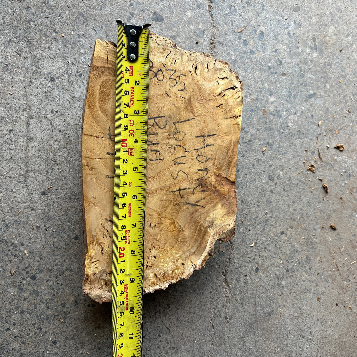 Honey Locust Burl 9”x5”x1.75”