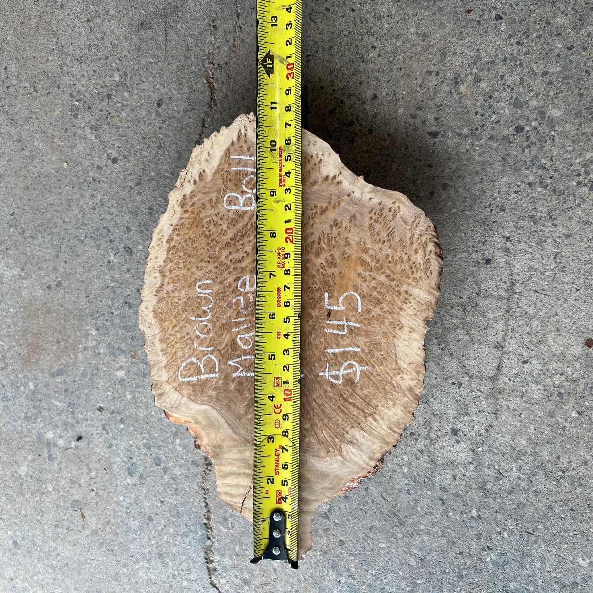 Brown Mallee Burl 10”x7”x2”