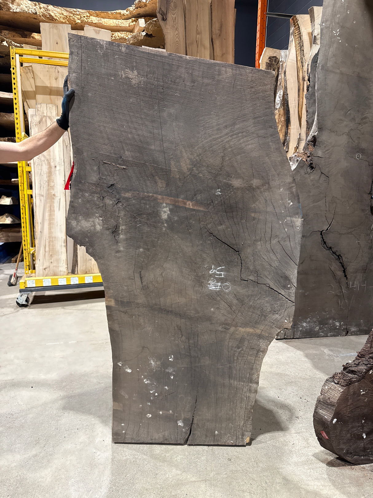 Black Walnut Live Edge #010715-8