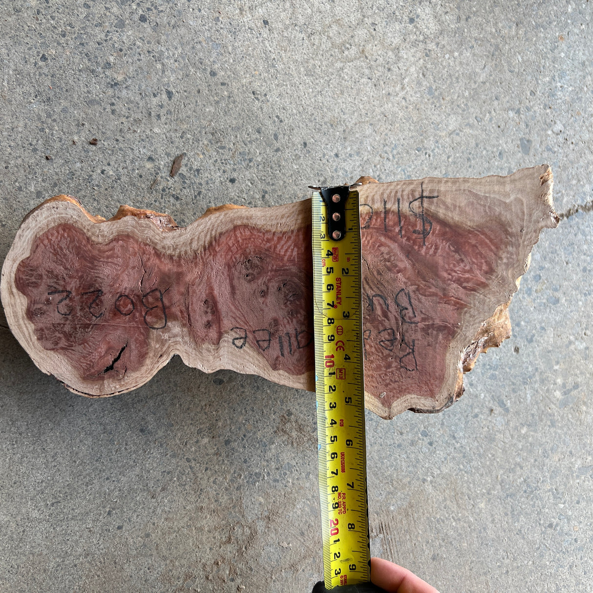 Red Mallee Burl 12”x5”x2.5”