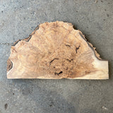 Olive Ash Burl 19”x10”x1”