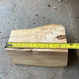 Honey Locust 11”x7”x6”