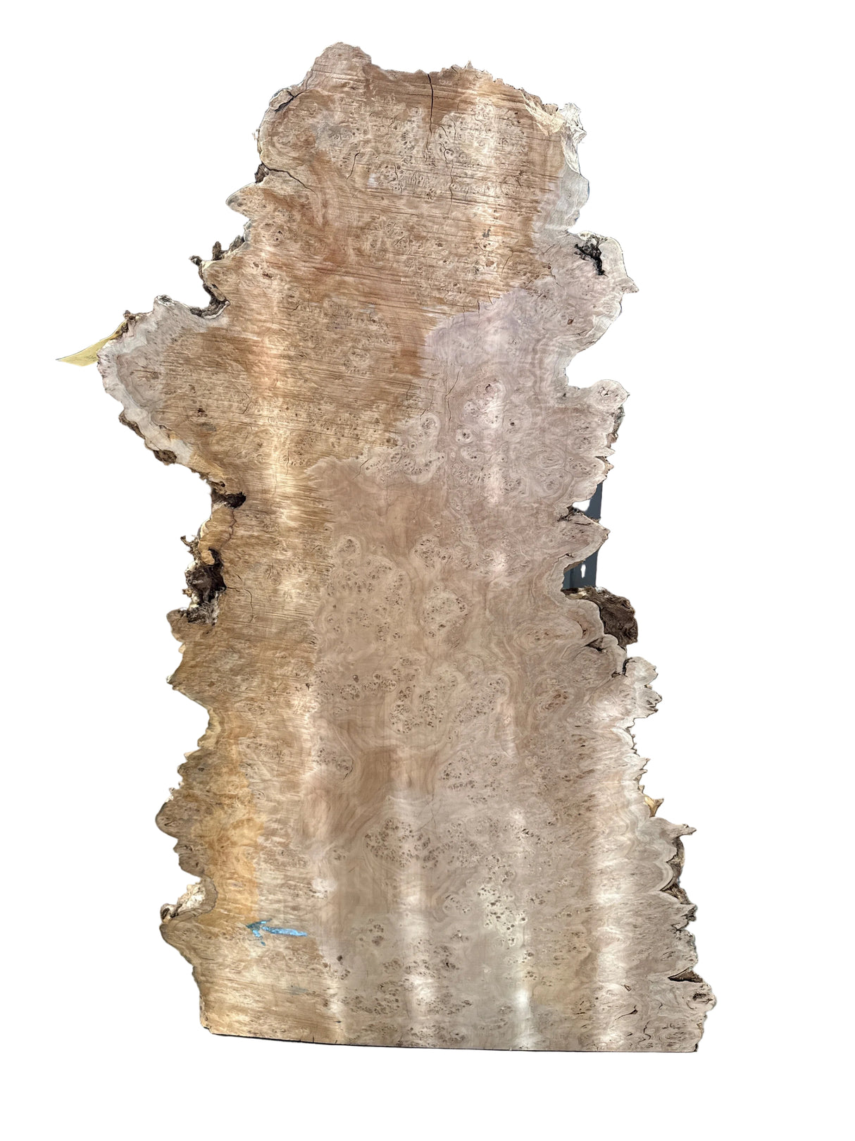 Cottonwood Live Edge #13071A