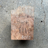 Chechen Burl 8”x5”x3”