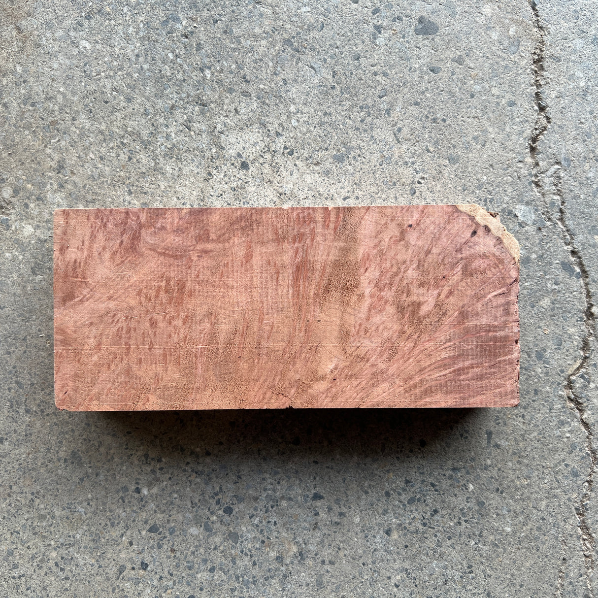 Redwood Burl 9.5”x4”x1.75”