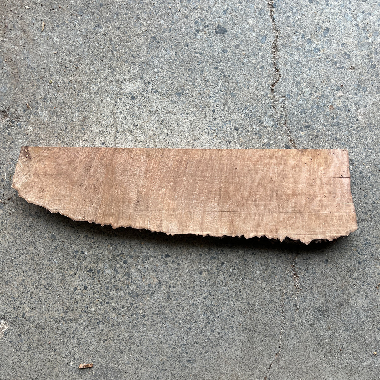 Madrone Burl 15”x4”x0.875”