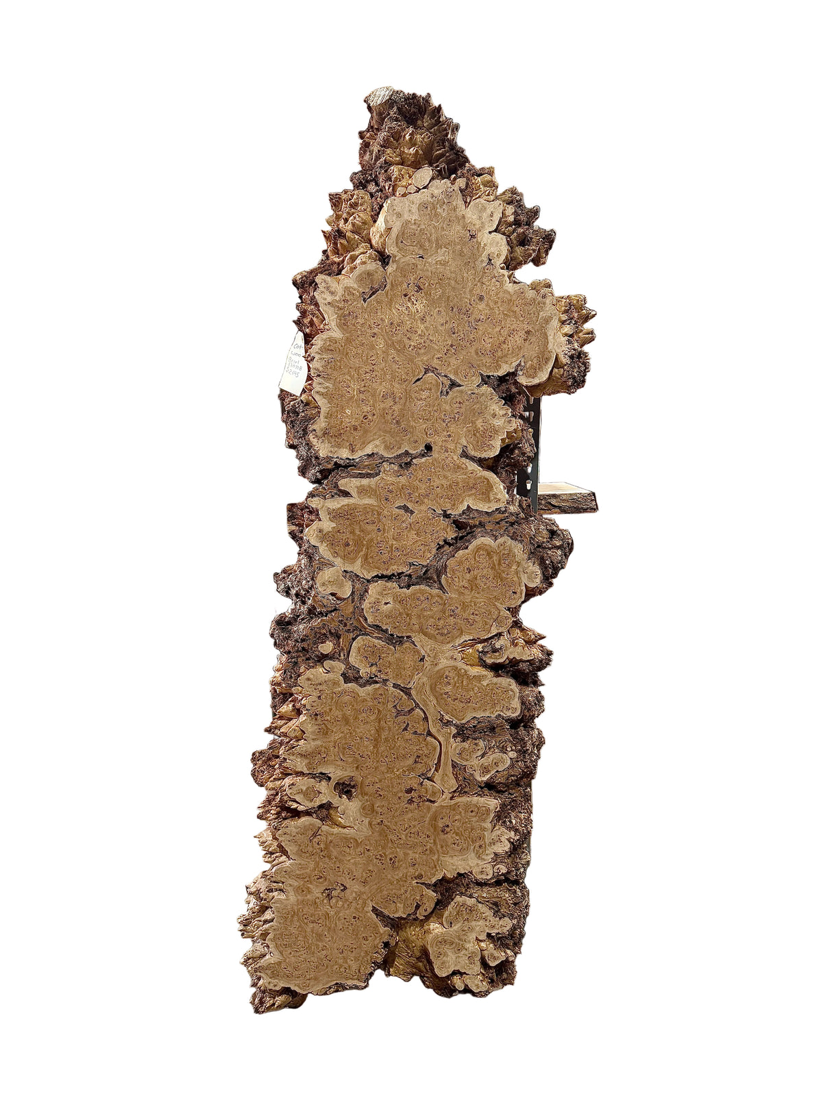 Cottonwood Live Edge #13071B