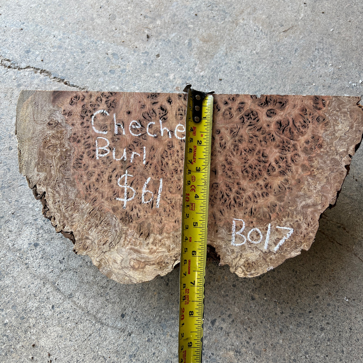 Chechen Burl 12”x6”x2.5”