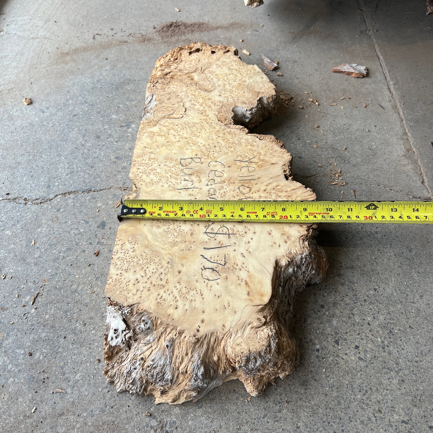 Yellow Cedar Burl 22”x8”x2” – Black Forest Wood Co.