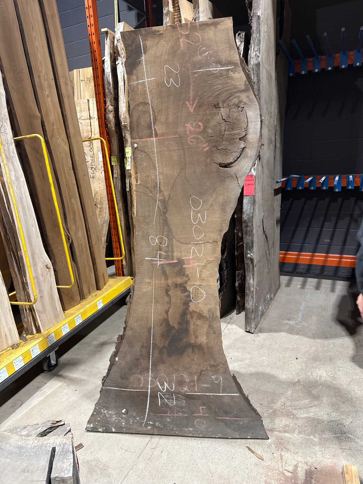 Black Walnut Live Edge #030121-10