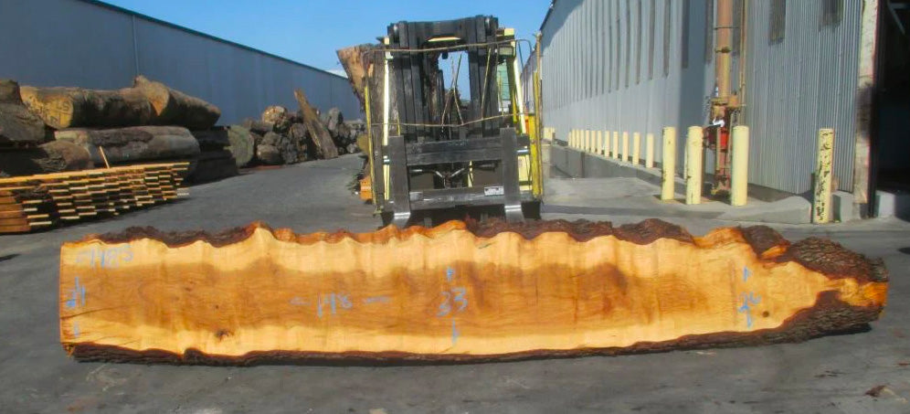 View of Live Edge Slabs – Black Forest Wood Co.