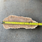 Brown Mallee Burl 15”x6”x2”