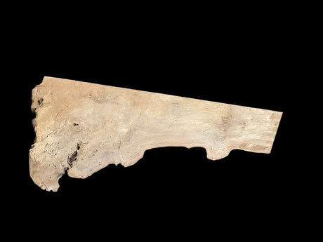 Sycamore Burl 12/4 Live Edge #011