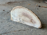 Ash Burl 7”x4”x1.25”