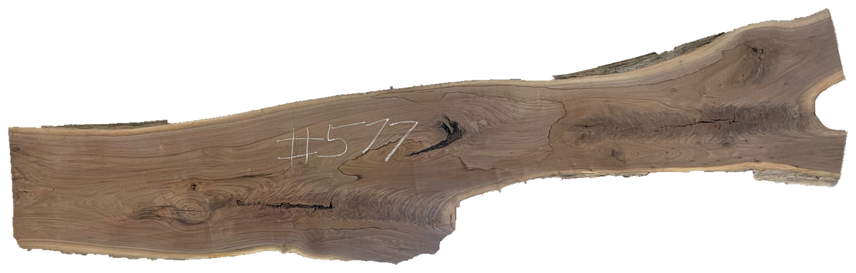 Black Walnut 10/4 Live Edge #577