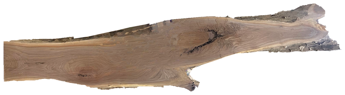 Black Walnut 10/4 Live Edge #578