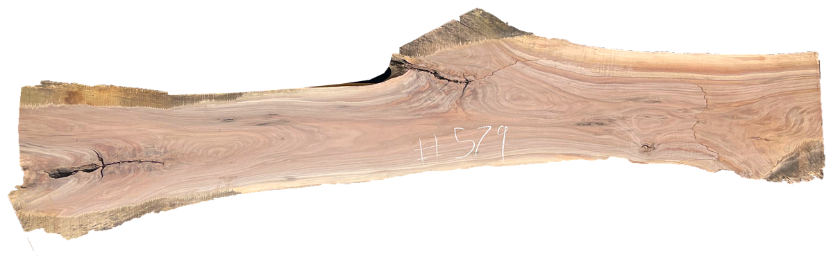 Black Walnut 10/4 Live Edge #579