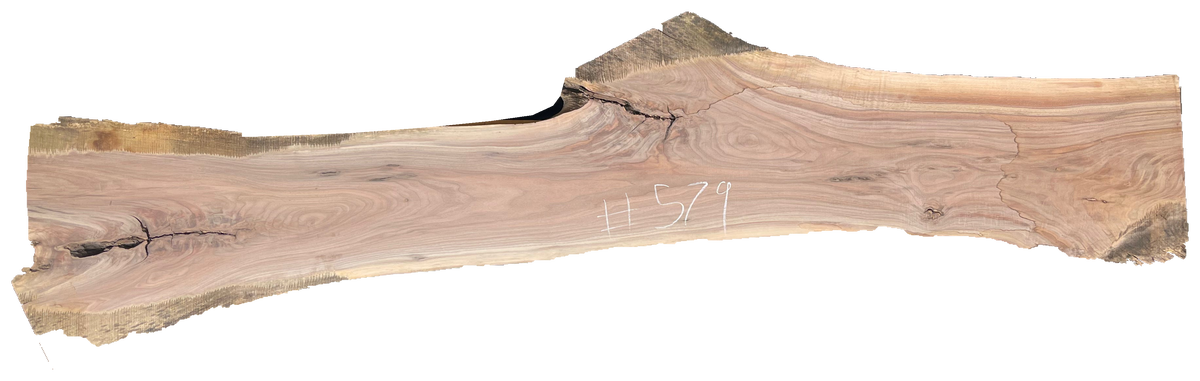 Black Walnut 10/4 Live Edge #579