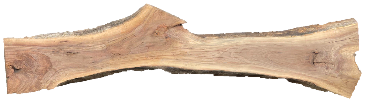 Black Walnut 10/4 Live Edge #579