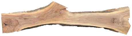 Black Walnut 10/4 Live Edge #579