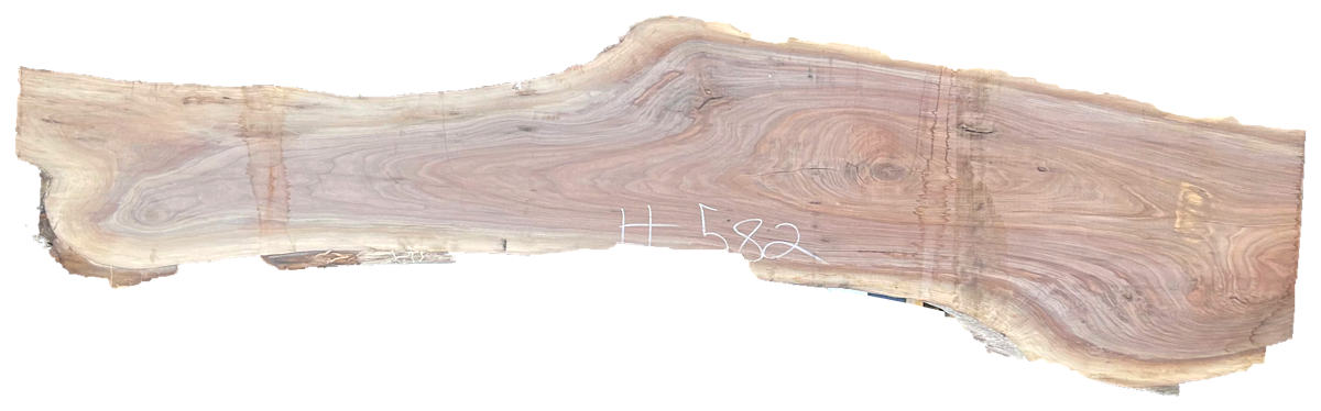 Black Walnut 10/4 Live Edge #582