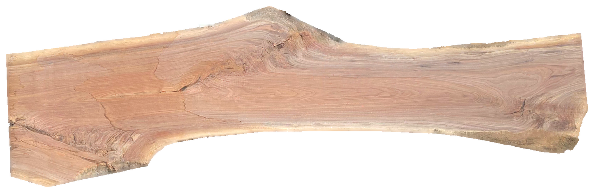 Black Walnut 10/4 Live Edge #582