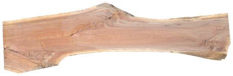 Black Walnut 10/4 Live Edge #582