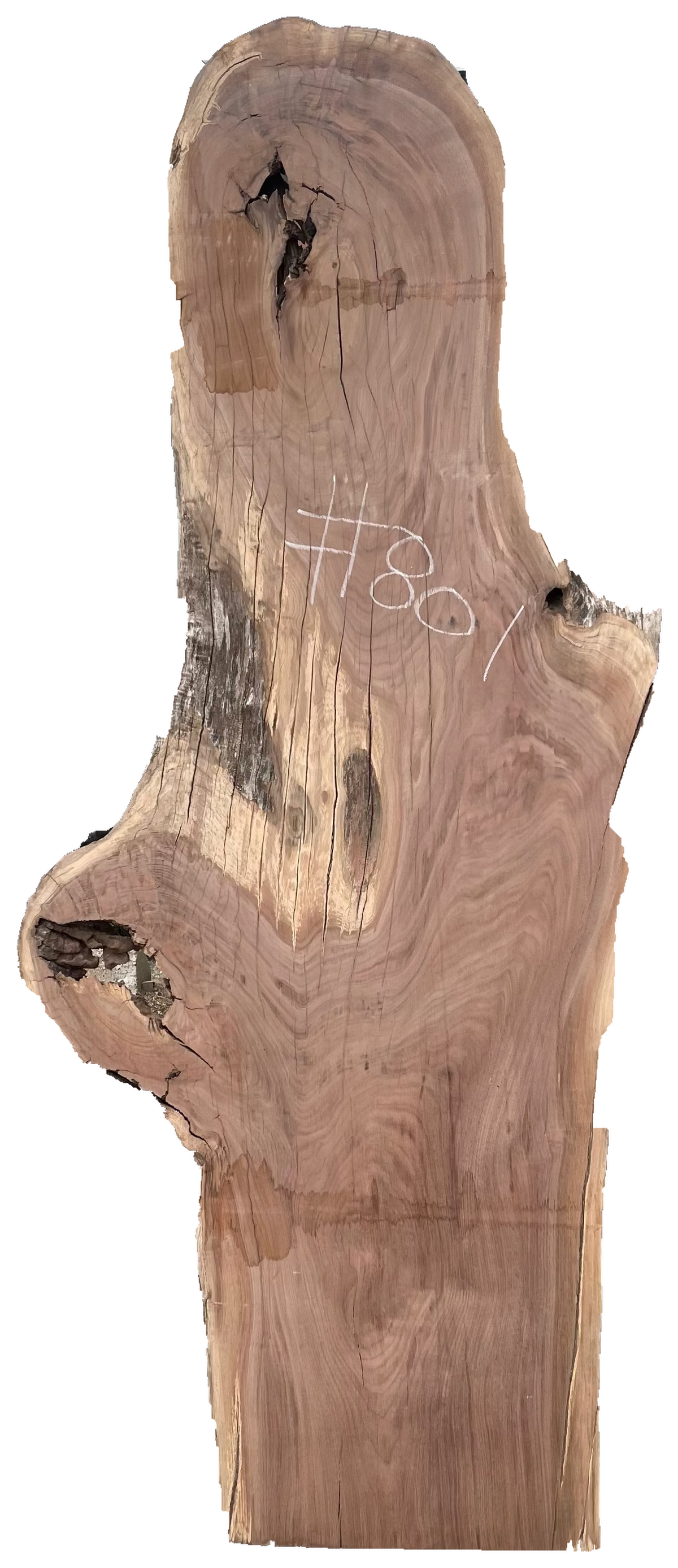 Black Walnut 8/4 Live Edge #801