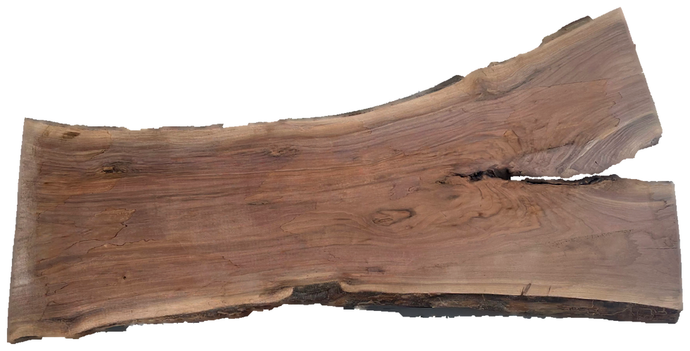 Black Walnut 10/4 Live Edge #587