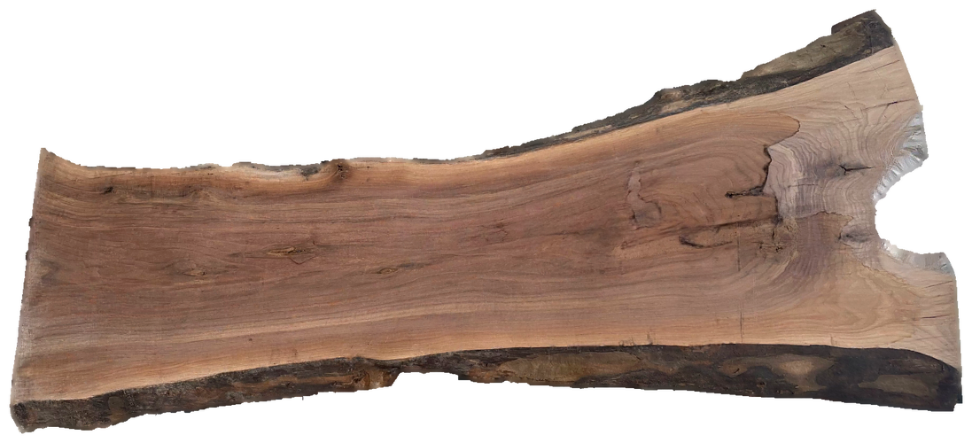 Black Walnut 10/4 Live Edge #586
