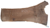 Black Walnut 8/4 Live Edge #816