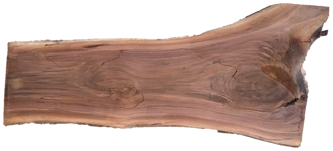 Black Walnut 8/4 Live Edge #819