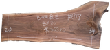 Black Walnut 8/4 Live Edge #819