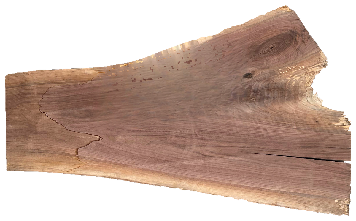 Black Walnut 8/4 Live Edge #822