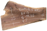 Black Walnut 8/4 Live Edge #822