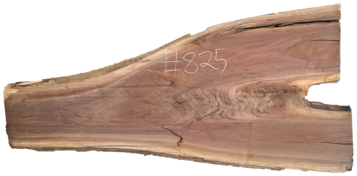 Black Walnut 8/4 Live Edge #825