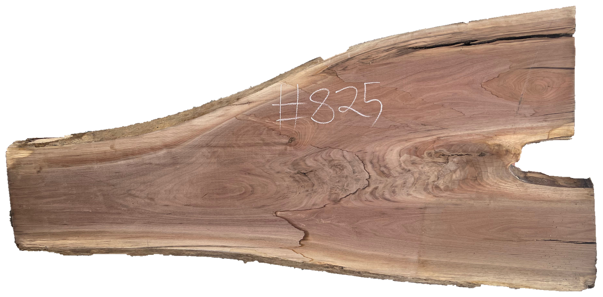 Black Walnut 8/4 Live Edge #825