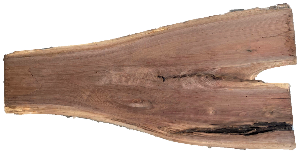 Black Walnut 8/4 Live Edge #825