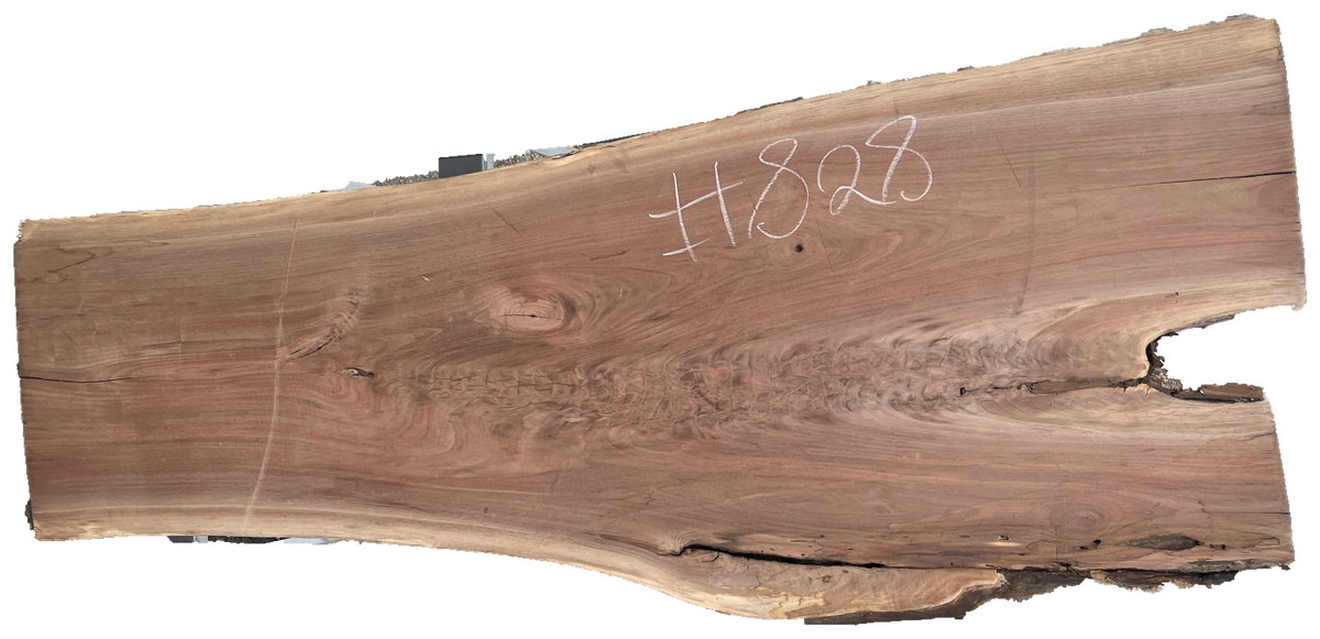 Black Walnut 8/4 Live Edge #828