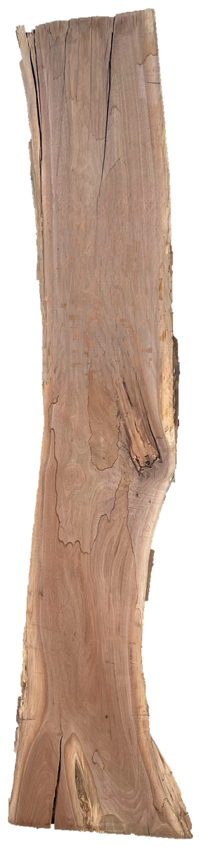 Black Walnut 8/4 Live Edge #832