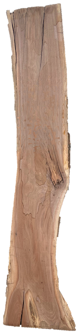 Black Walnut 8/4 Live Edge #832