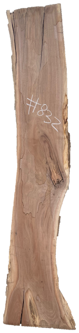 Black Walnut 8/4 Live Edge #832