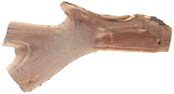 Black Walnut 8/4 Live Edge #833