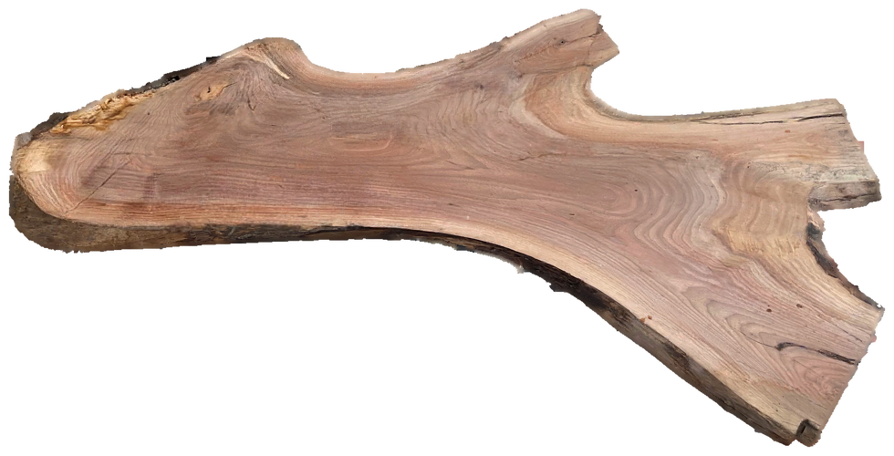 Black Walnut 8/4 Live Edge #833