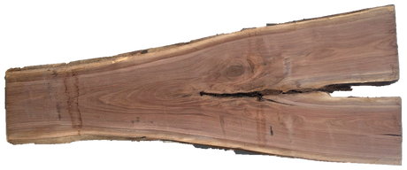 Black Walnut 8/4 Live Edge #834