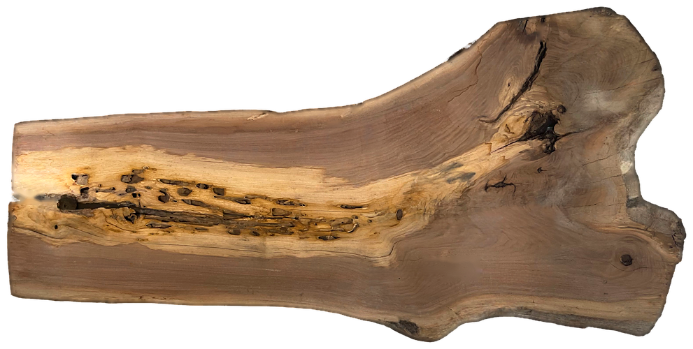 Black Walnut 10/4 Live Edge #591